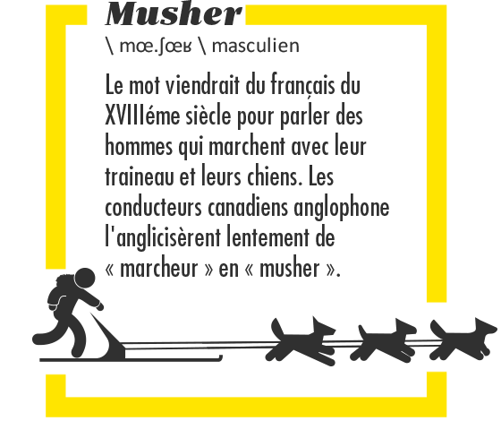 Musher&nbsp;: le mot viendrait du français du XVIIIe siècle pour parler des hommes qui marchent avec leur traineau et leurs chiens. Les conducteurs canadiens anglophone l’anglicisèrent lentement de «&nbsp;marcheur&nbsp;» en «&nbsp;musher&nbsp;».