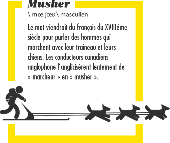 Musher&nbsp;: le mot viendrait du français du XVIIIe siècle pour parler des hommes qui marchent avec leur traineau et leurs chiens. Les conducteurs canadiens anglophone l’anglicisèrent lentement de «&nbsp;marcheur&nbsp;» en «&nbsp;musher&nbsp;».